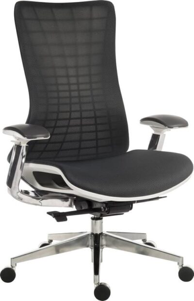 Quantum Mesh Back Executive Chair Chair Black with White Frame - 6966WHI