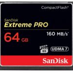 SanDisk