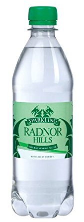 Radnor Hills Sparkling Bottled Water 500ml (Pack 24) 201036