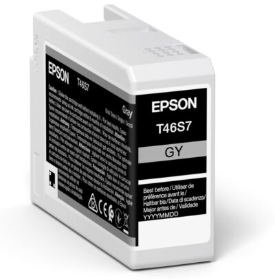 Epson T46S6 Grey Pro10 Ink Cartridge 25ml - C13T46S700