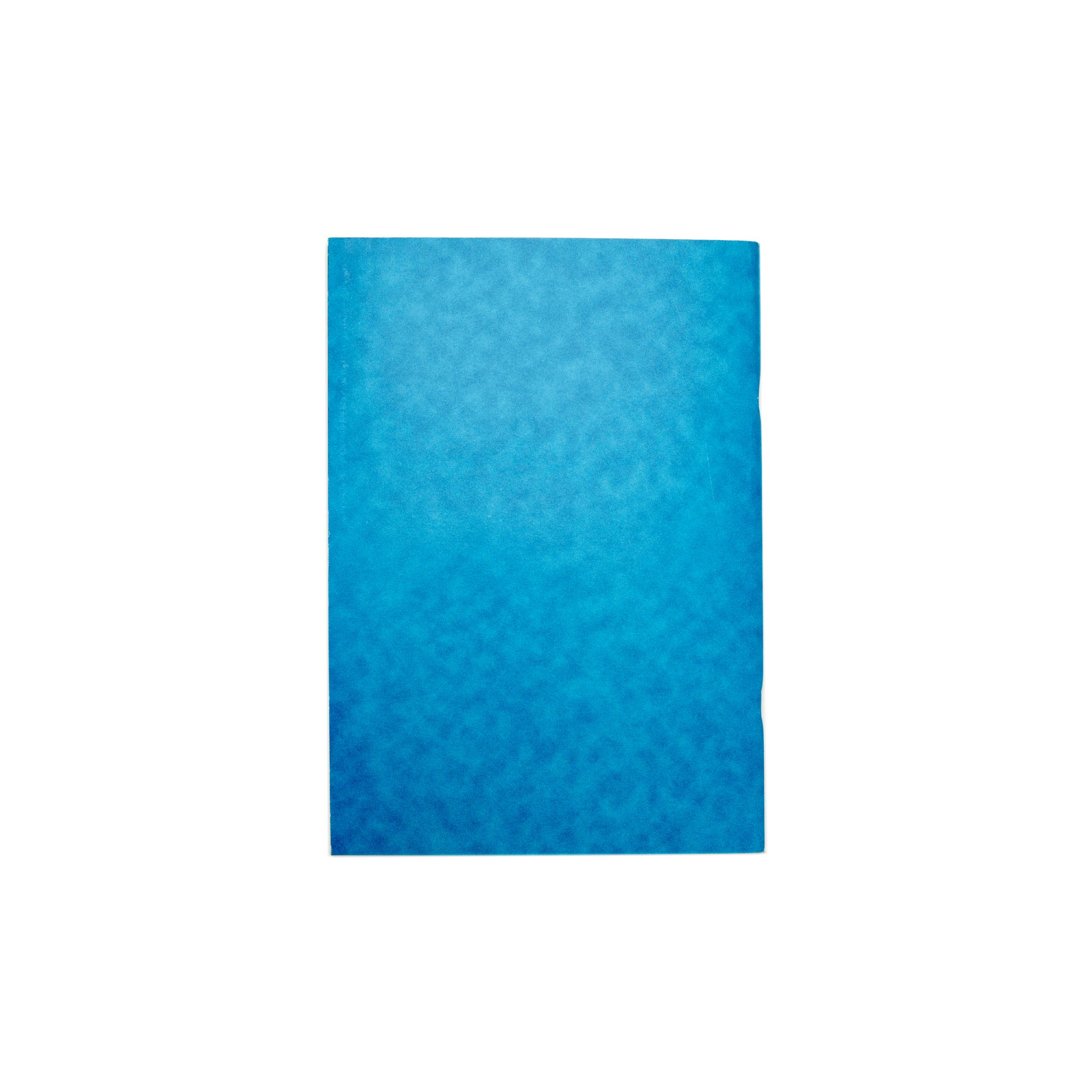 Rhino A4 Teachers Record Book 80 Page Teachers Record Template Ruling (Pack 5) - VAR159-2-4 - Image 3