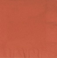 33cm Terracotta 2-Ply Napkins - Box of 2000